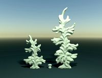 Two Fir-trees