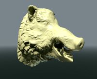 Boars head