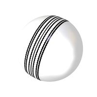 Cricket Ball White
