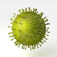 Corona Virus 3