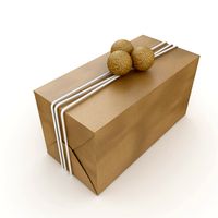 CHRISTMAS GIFT BOX 4.