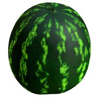 watermelon