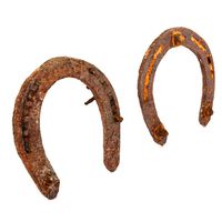 Old Rusty Horseshoes