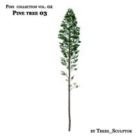 Pine-tree_03 (vol_02)