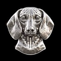 Dachshund head