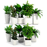 Set Crate and Barrel three