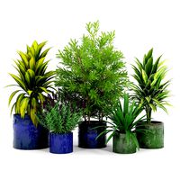 Maya Blue Ceramic Planters, Maya Green Ceramic Planters