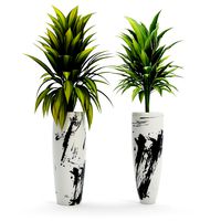 Planter Africa