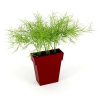 IL VASO OUTDOOR PLANTER burgundy