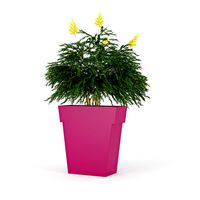 IL VASO OUTDOOR PLANTER pink