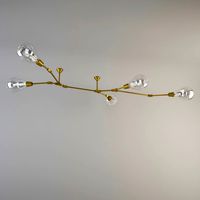 Technical Branch Light