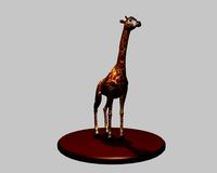 giraffe