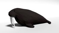 Low Poly Cartoon Walrus