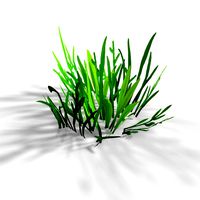 Low Poly Grass