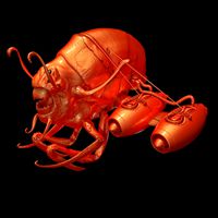 Monster Bug