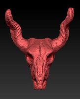 Horned animal skull