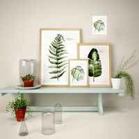 Botanic Urban