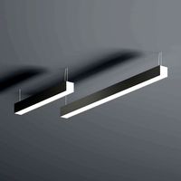 Wave and Line Ceiling Lamp