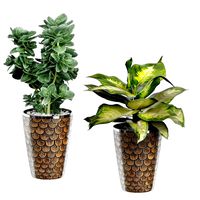 Potted Plants Collection 75