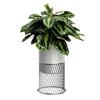 Potted plants Set 57