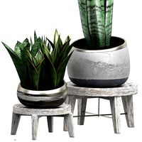 Potted plants Set 41