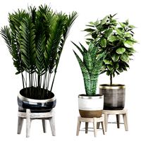 Potted plants Set 38