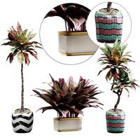 Potted plants Set 35