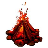 Campfire