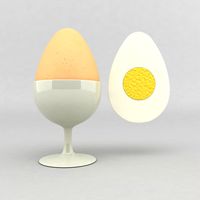 egg