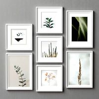 Picture Frames Set -101