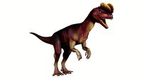 Dilophosaurus