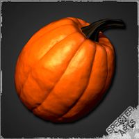 Pumpkin