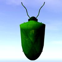 Green Stink Bug.3ds