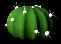 Ferocactus Latiapin.obj
