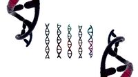 DNA