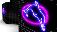Dolphin neon sign