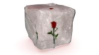 Frozen flower