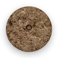 medieval grain grinder