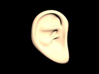 ear
