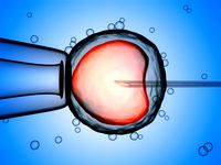 Artificial insemination in vitro fertilization fertility treatments