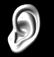 Human Ear .obj format