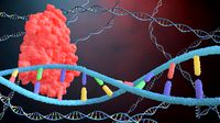 DNA with Cas9