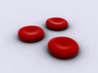 Red Blood Cells