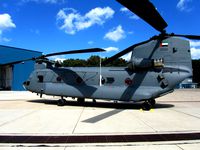 UAE Air Force Chinook CH - 47 F Animated