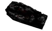 Heavily burnt Coffin
