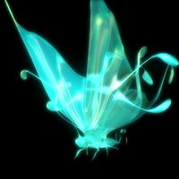 Magic Butterfly