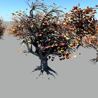 Trees