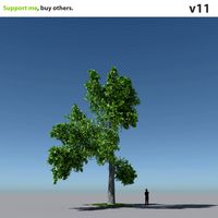 Tree Oak V11