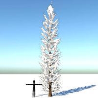 Snow Tuscan Cypress Tree 3