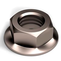 Hex Flange Nut